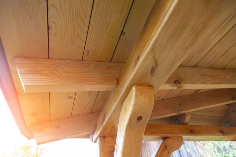 Porch Ceiling Replacement in Overland Park, KS